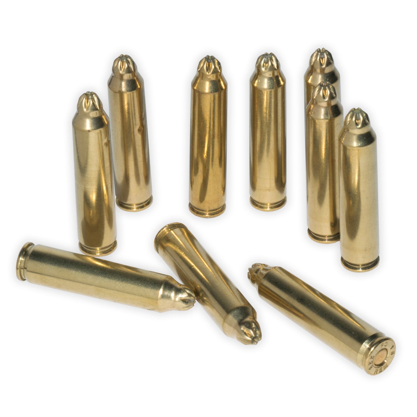 Military Ammo Blanks .223 AR15 / Mini 14 / M16 / 5.56mm