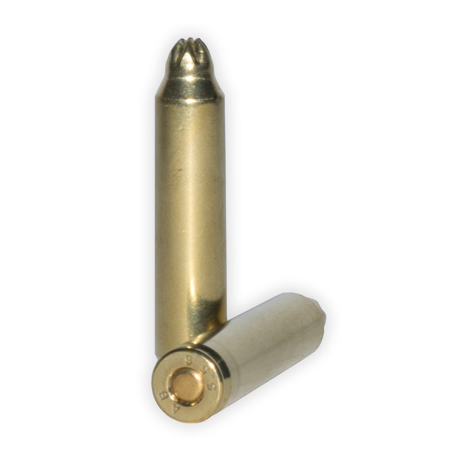 Military Ammo Blanks .223 AR15 / mini 14 / M16 / 5.56mm
