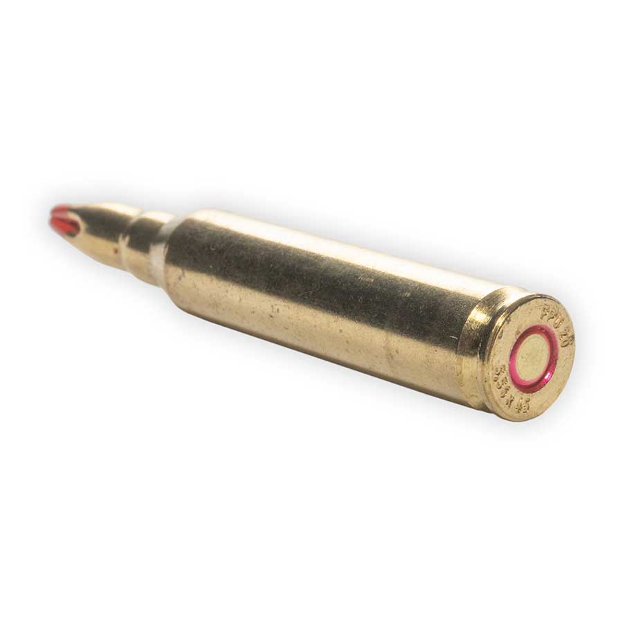 .223 / 5.56 M200 A1  Blank Ammo Long Tip Rifle Blanks (20 Rounds) Custom
